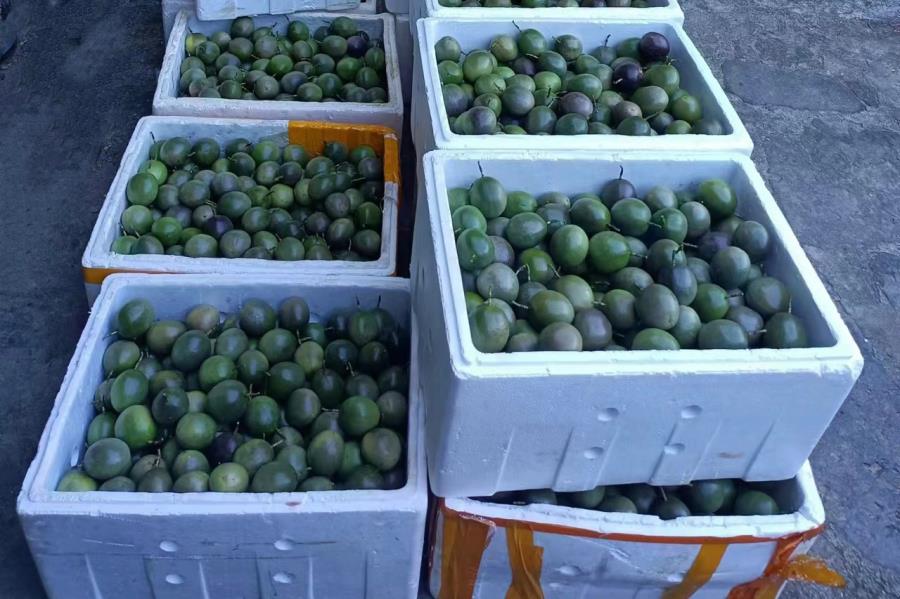 微信图片_20221127165013