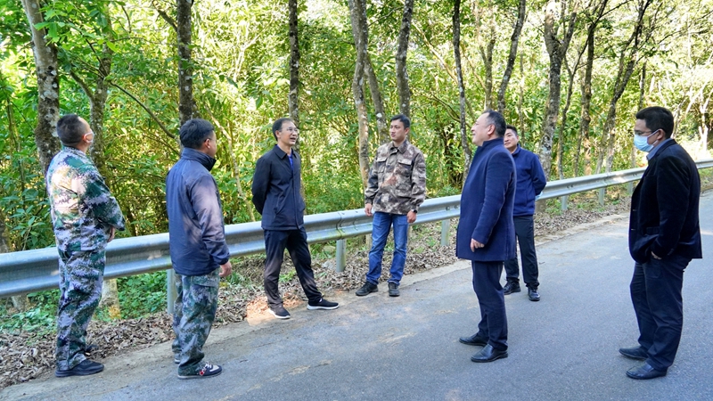 05JAZO7DE12211241519442927E592