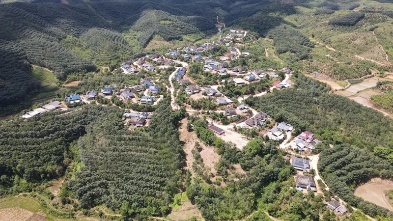 28D05IS7QS2312191525512898ED4F