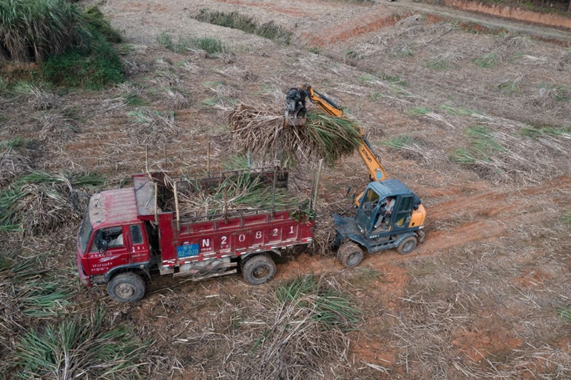 28D05IS7QS2402051649380811D59B