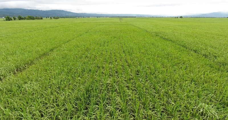 28D05IS7QS24020516495937F0158C