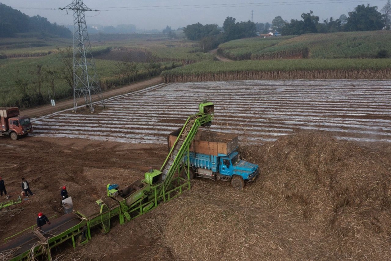 28D05IS7QS2402051650133DDF160A