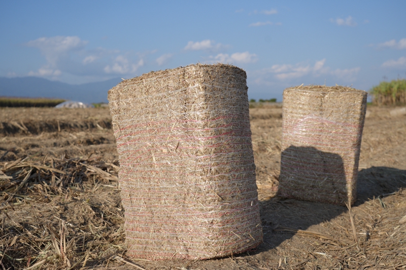 28D05IS7QS2402051651311D956FF9