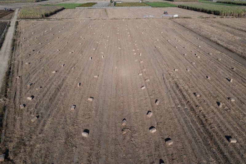 28D05IS7QS2402051651441BA01853