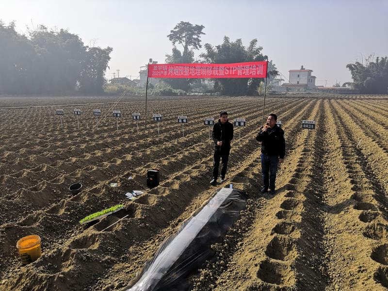 d0c6335fd4c01e0d9fc24459e4aaf11