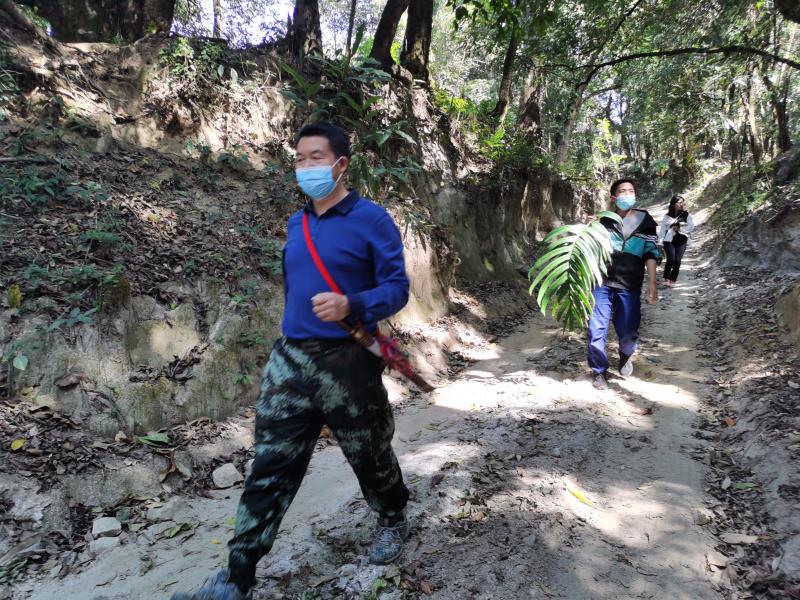 198c24d85b33d21560560afdcd53927