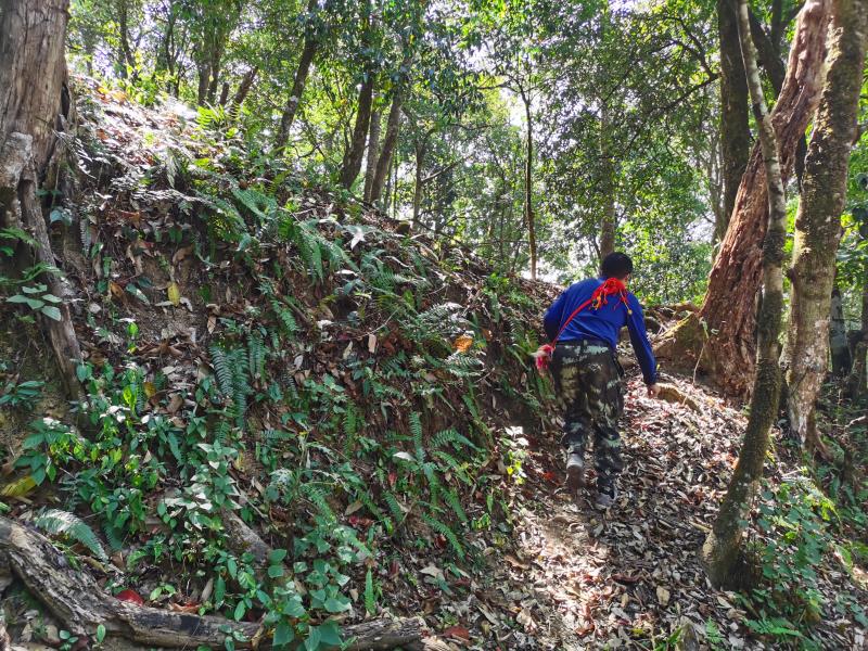 9d037a08d1e859760aa97da0681afd0