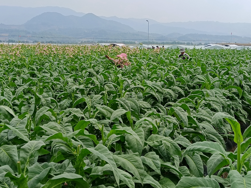 微信图片_20220330105745_副本