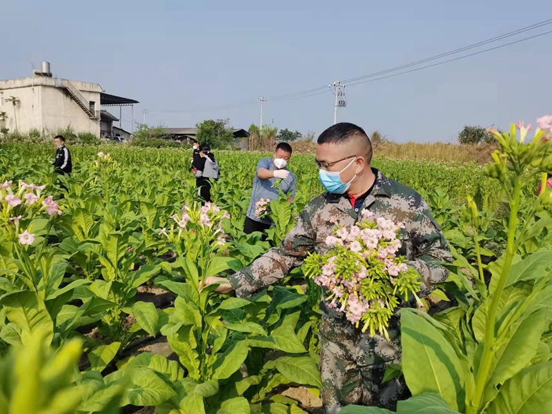 微信图片_20220330113147_副本