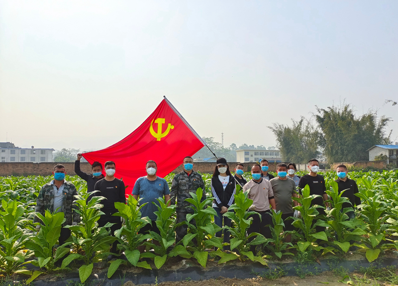 微信图片_20220330113137_副本