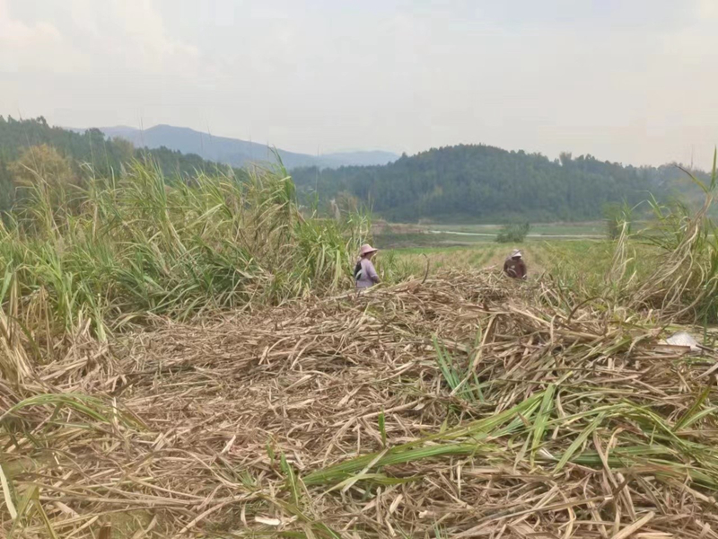 27909c657da3e8246144f86128a67a3_副本