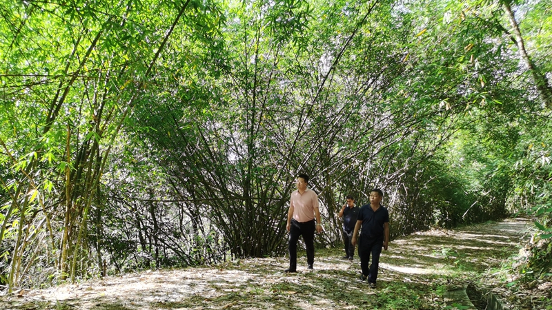 d64e9f0cfd902cc78cb8169475e99d8_副本