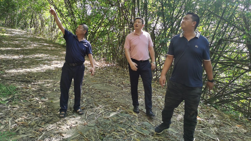 8bd1b57b8bad2d879e460f00b46671a_副本