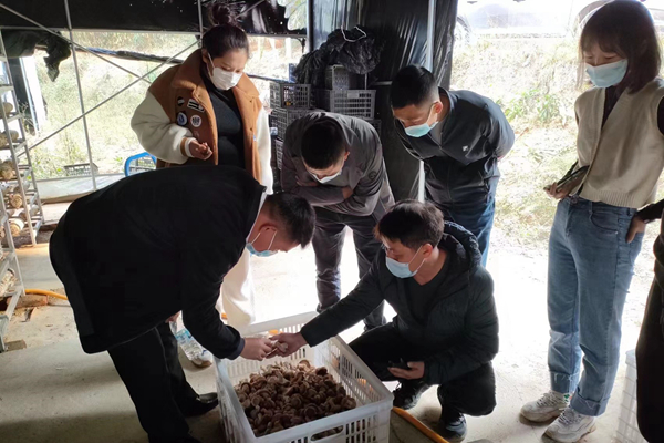 微信图片_20230106113023_副本