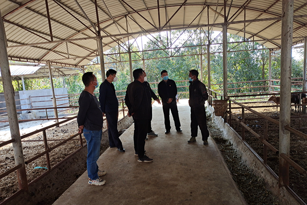 微信图片_20230106113146_副本