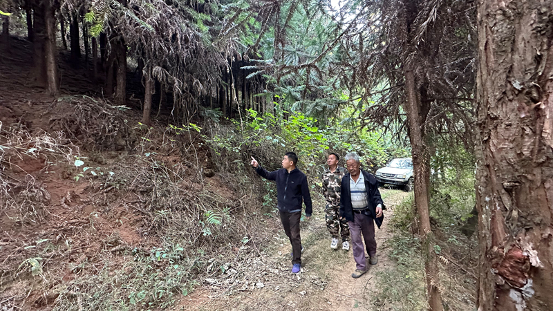 63d3b603b528027603f3f148ceec56f_副本