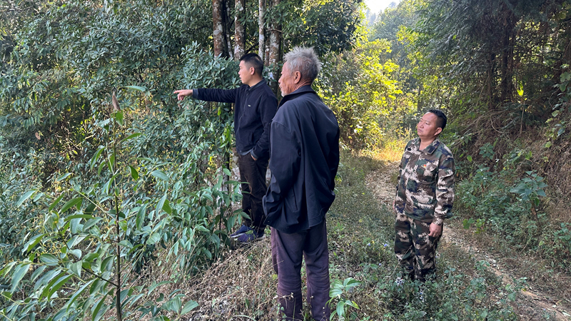 c128b69599e3a9009a5342c7a8b4afa_副本