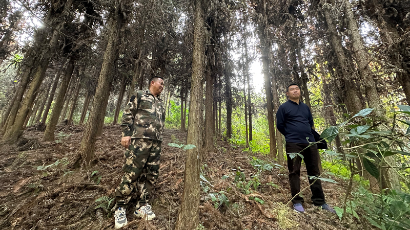 b6b2ee4469a990ef59989819fbf4c98_副本