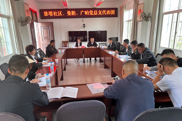 社区、曼胆、广帕_副本