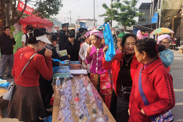 微信图片_202303041439535_副本