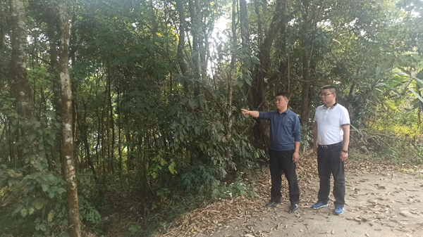 87917276f608d689ac1d552fdeb3c7e_副本