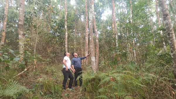 dc08f258f580316f9be32338c75036b_副本