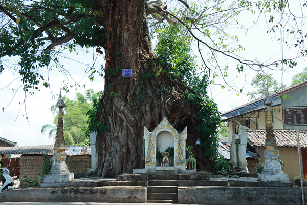 20230605153904_IMG_1417_副本