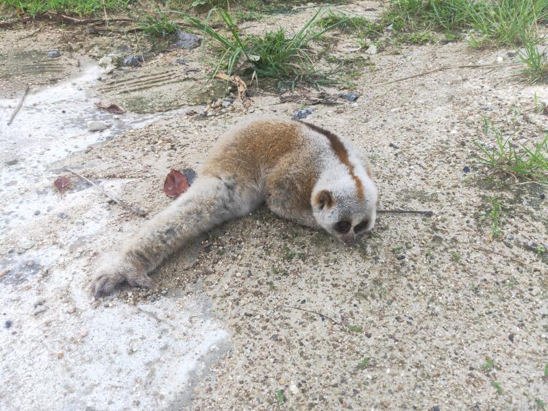 微信图片_20200620092446