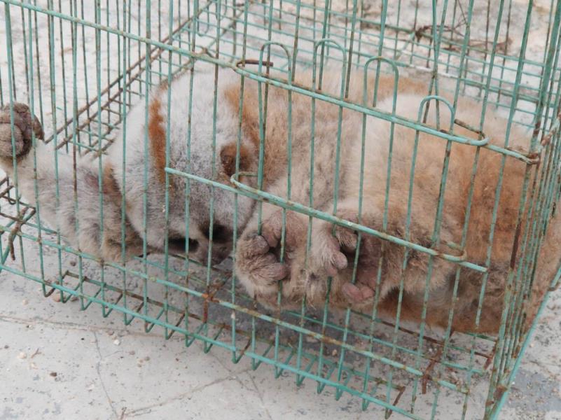 微信图片_20200620092454