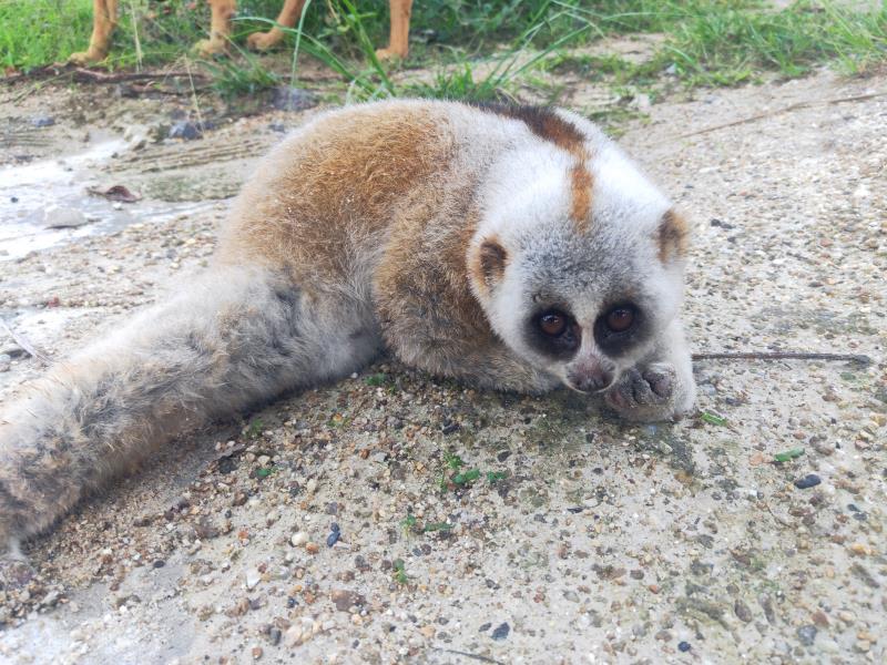 微信图片_20200620092434