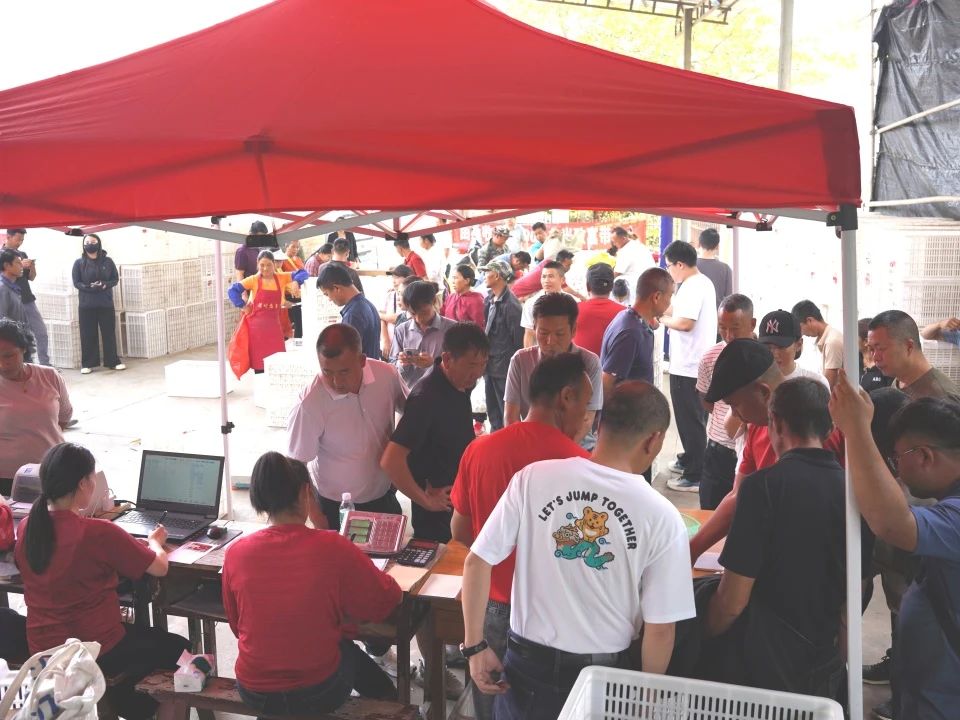 微信图片_20250624154418