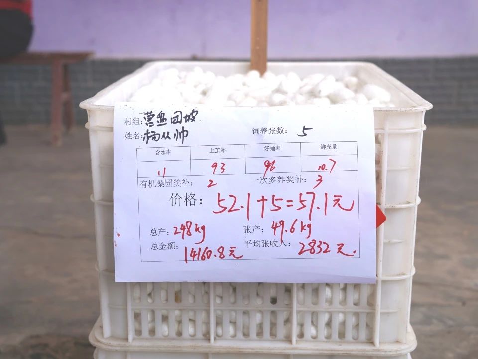 微信图片_20250624154504