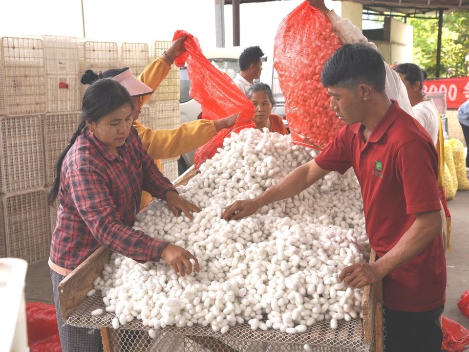 微信图片_20250624154454