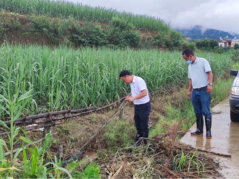 微信图片_20220630151926