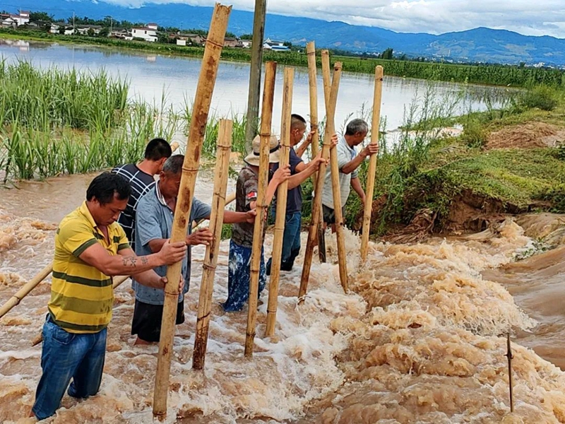 微信图片_20220701101843 - 副本