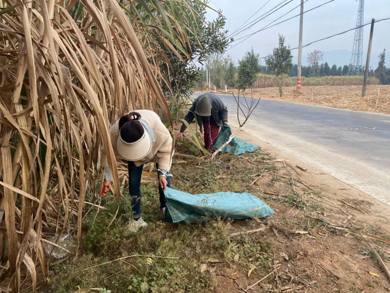 微信图片_20230228091512