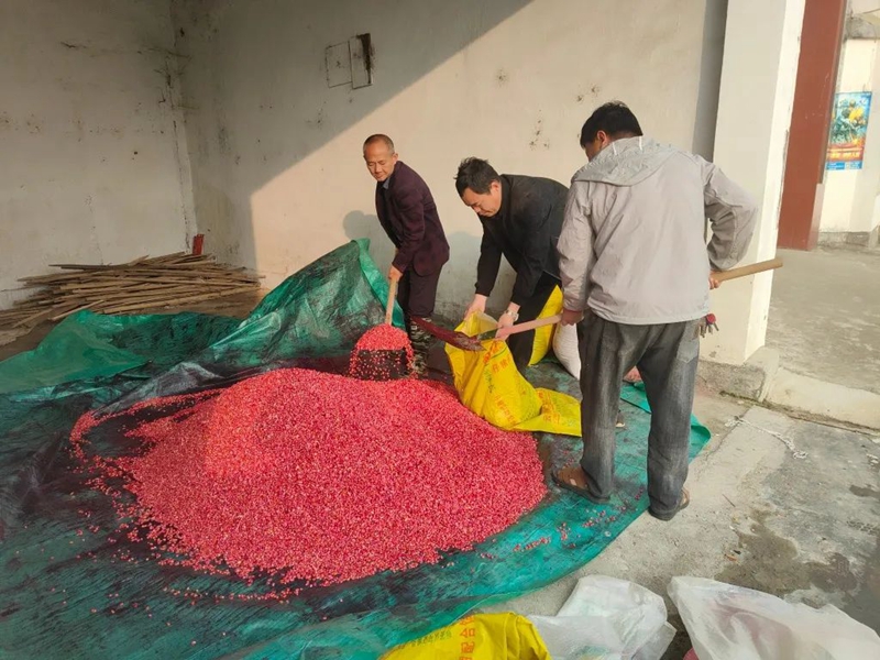 微信图片_20230322094213