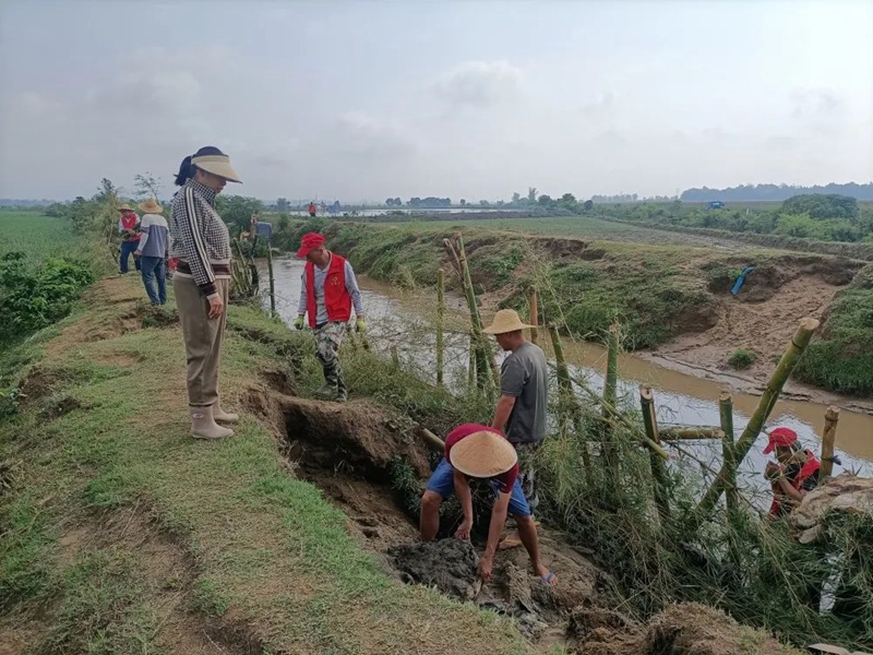 微信图片_20230519150402