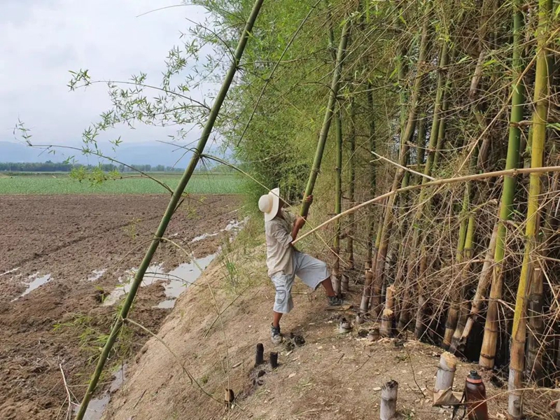 微信图片_20230519150411