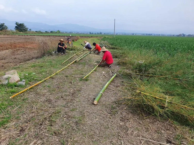 微信图片_20230519150415