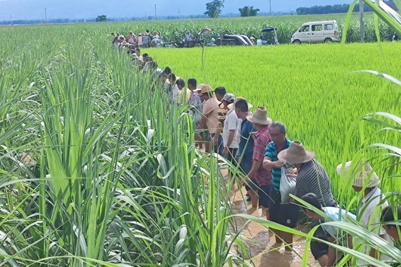 微信图片_20230731091619_1