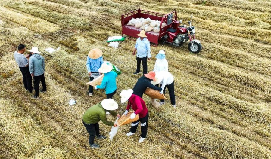 微信图片_20230815094116_3