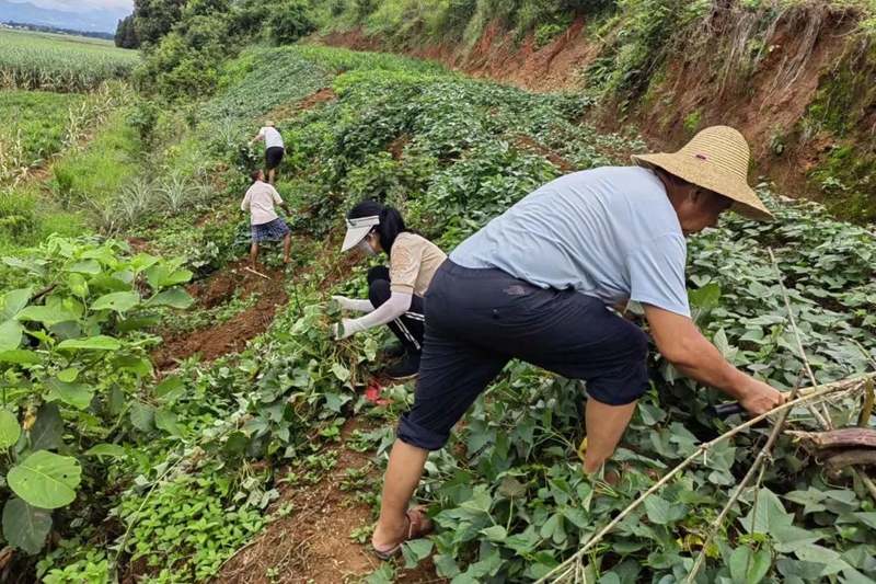 微信图片_20230829154110_5