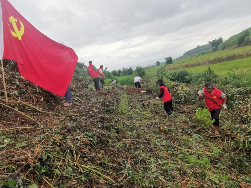 微信图片_20230829154252