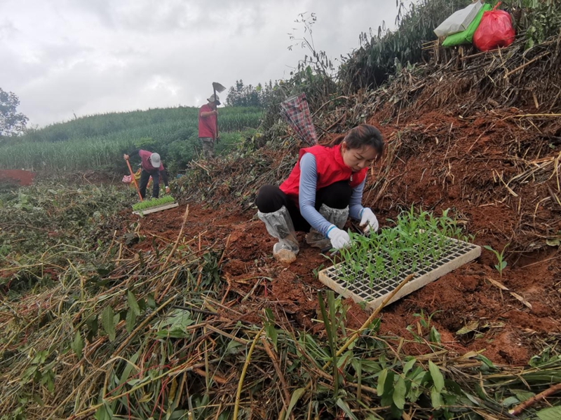 微信图片_20230829154252_1