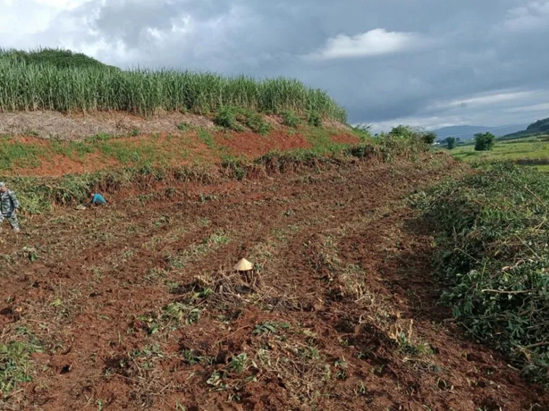 微信图片_20230829154253_1