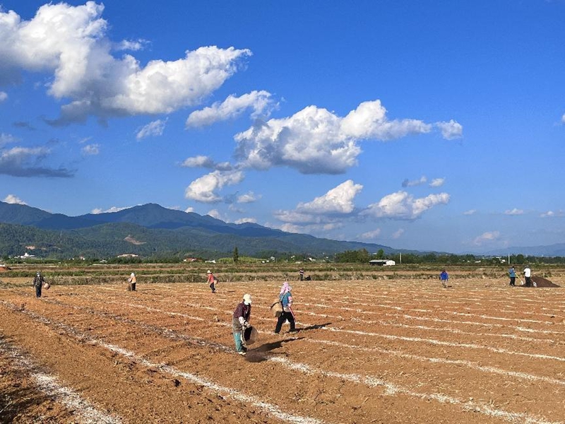 微信图片_20240109124225