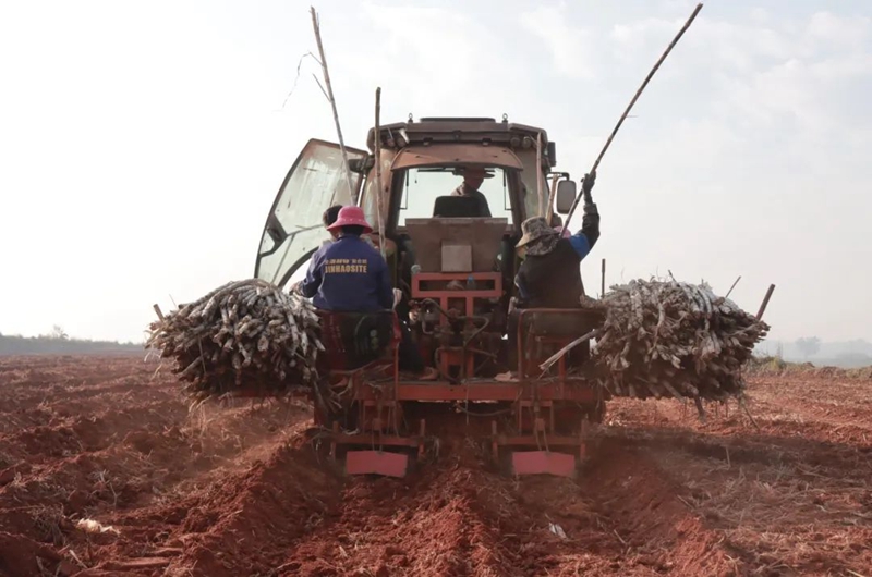 微信图片_20240131110412