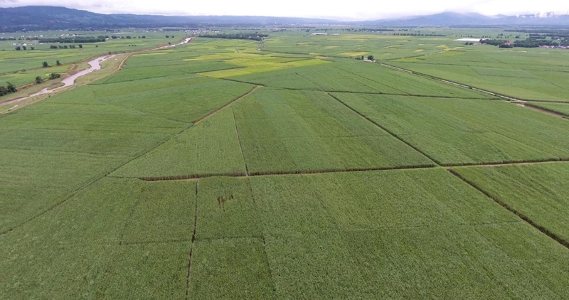 微信图片_20240205170557