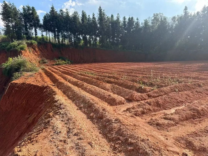 微信图片_20240206145909